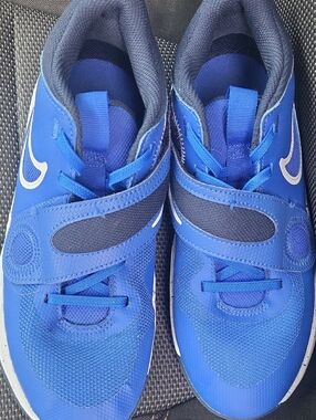 Nike Kids Royal Blue Velcro Sneakers